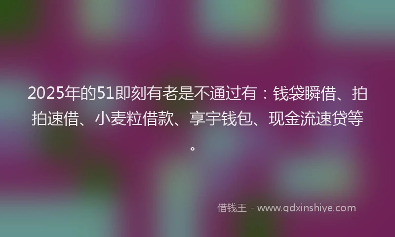 2025年的51即刻有老是不通过有：钱袋瞬借、拍拍速借、小麦粒借款、享宇钱包、现金流速贷等。