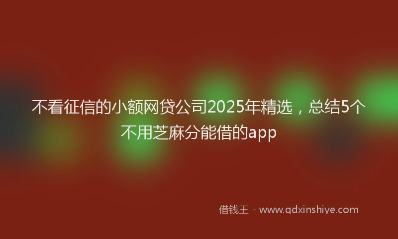 不看征信的小额网贷公司2025年精选，总结5个不用芝麻分能借的app