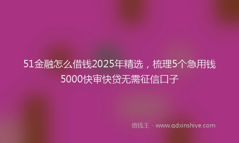 51金融怎么借钱2025年精选，梳理5个急用钱5000快审快贷无需征信口子