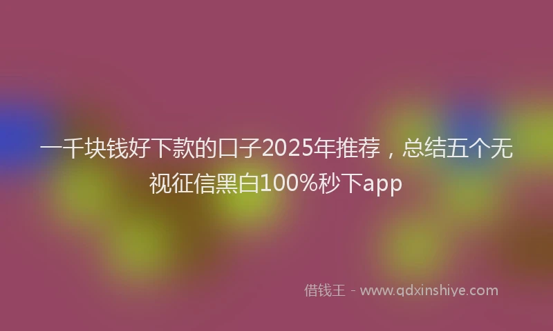 一千块钱好下款的口子2025年推荐，总结五个无视征信黑白100%秒下app