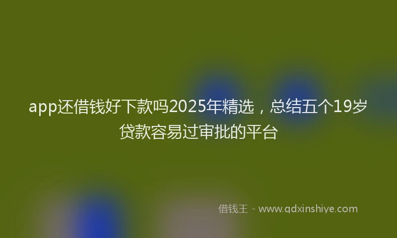 app还借钱好下款吗2025年精选，总结五个19岁贷款容易过审批的平台