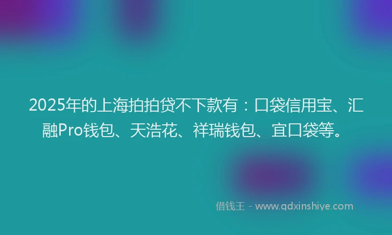 2025年的上海拍拍贷不下款有：口袋信用宝、汇融Pro钱包、天浩花、祥瑞钱包、宜口袋等。