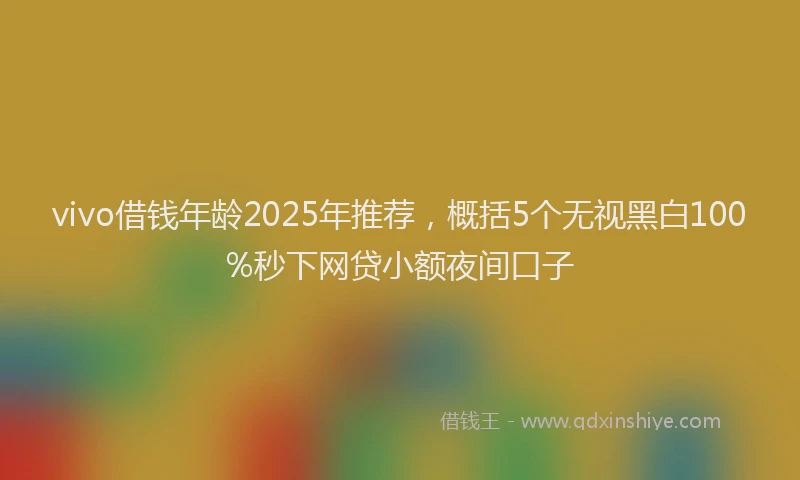 vivo借钱年龄2025年推荐，概括5个无视黑白100%秒下网贷小额夜间口子