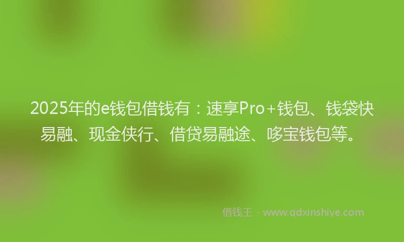 2025年的e钱包借钱有：速享Pro+钱包、钱袋快易融、现金侠行、借贷易融途、哆宝钱包等。