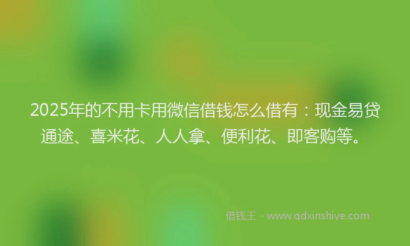 2025年的不用卡用微信借钱怎么借有：现金易贷通途、喜米花、人人拿、便利花、即客购等。