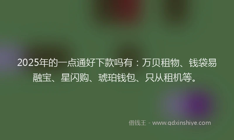 2025年的一点通好下款吗有：万贝租物、钱袋易融宝、星闪购、琥珀钱包、只从租机等。