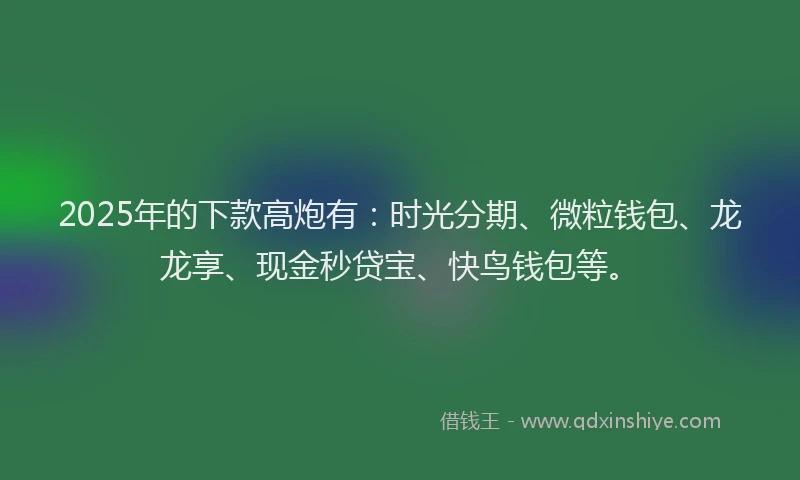 2025年的下款高炮有：时光分期、微粒钱包、龙龙享、现金秒贷宝、快鸟钱包等。