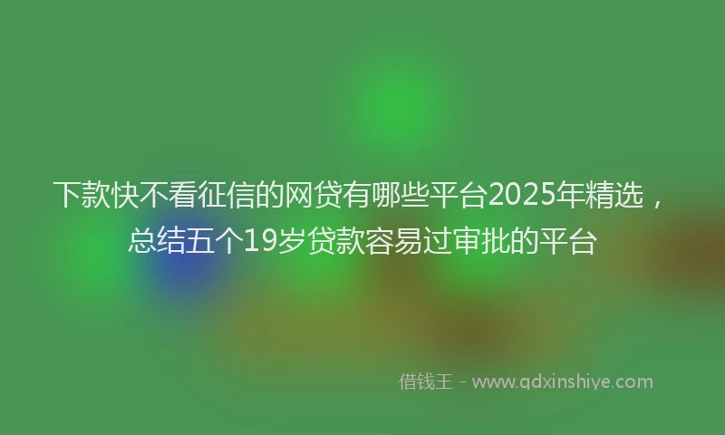 下款快不看征信的网贷有哪些平台2025年精选，总结五个19岁贷款容易过审批的平台