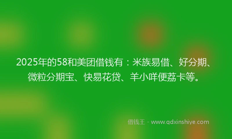 2025年的58和美团借钱有：米族易借、好分期、微粒分期宝、快易花贷、羊小咩便荔卡等。