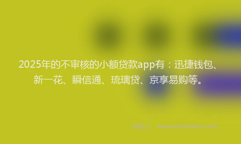 2025年的不审核的小额贷款app有：迅捷钱包、新一花、瞬信通、琉璃贷、京享易购等。