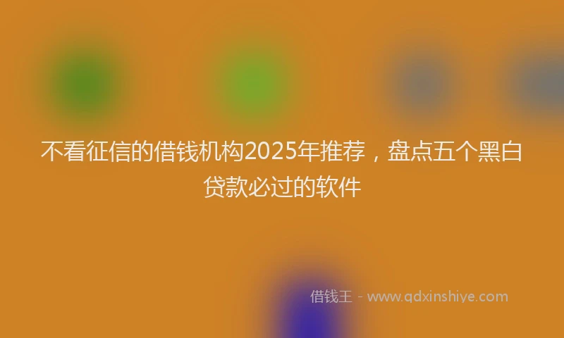不看征信的借钱机构2025年推荐，盘点五个黑白贷款必过的软件