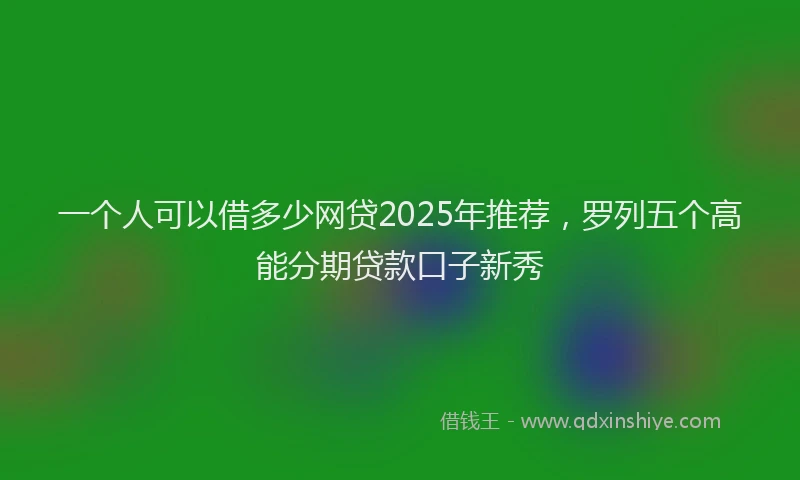 一个人可以借多少网贷2025年推荐，罗列五个高能分期贷款口子新秀