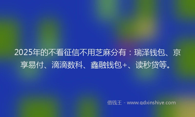 2025年的不看征信不用芝麻分有：瑞泽钱包、京享易付、滴滴数科、鑫融钱包+、读秒贷等。