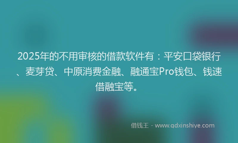 2025年的不用审核的借款软件有：平安口袋银行、麦芽贷、中原消费金融、融通宝Pro钱包、钱速借融宝等。