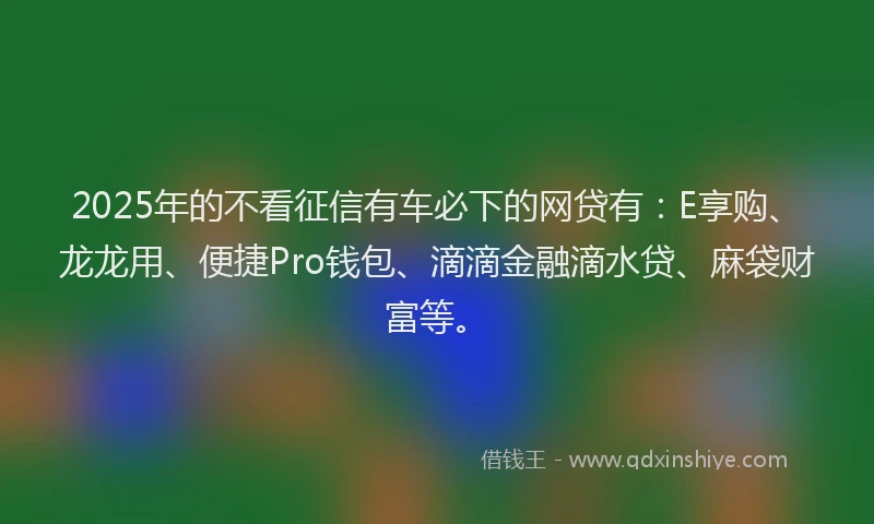 2025年的不看征信有车必下的网贷有：E享购、龙龙用、便捷Pro钱包、滴滴金融滴水贷、麻袋财富等。