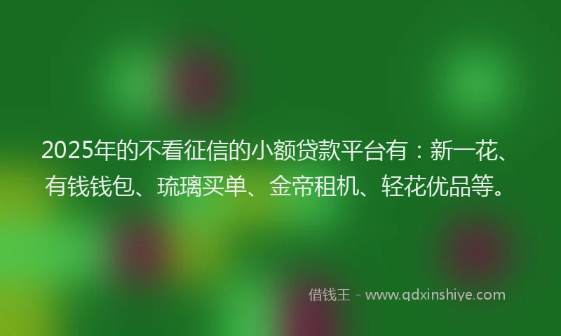 2025年的不看征信的小额贷款平台有：新一花、有钱钱包、琉璃买单、金帝租机、轻花优品等。