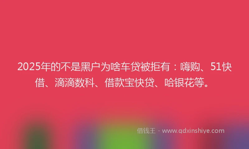 2025年的不是黑户为啥车贷被拒有：嗨购、51快借、滴滴数科、借款宝快贷、哈银花等。