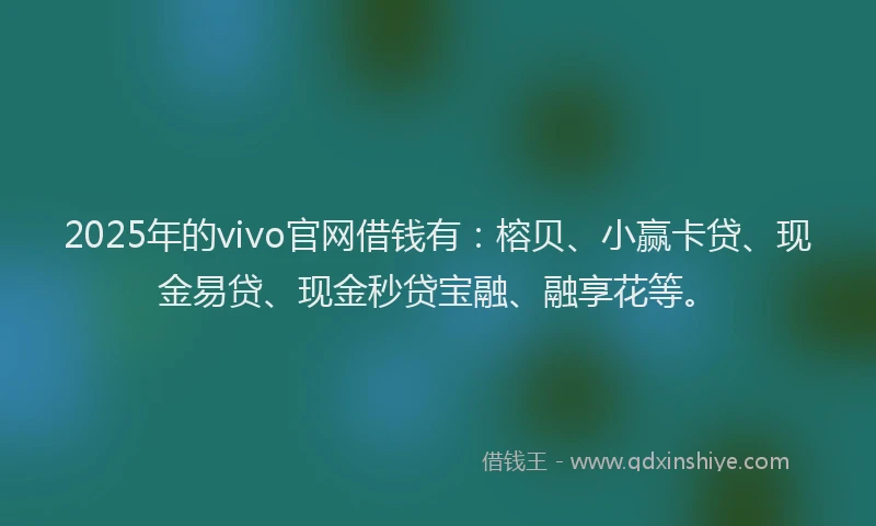 2025年的vivo官网借钱有：榕贝、小赢卡贷、现金易贷、现金秒贷宝融、融享花等。