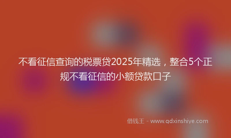 不看征信查询的税票贷2025年精选，整合5个正规不看征信的小额贷款口子