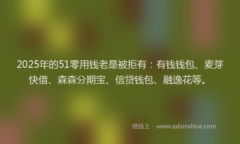 2025年的51零用钱老是被拒有：有钱钱包、麦芽快借、森森分期宝、信贷钱包、融逸花等。