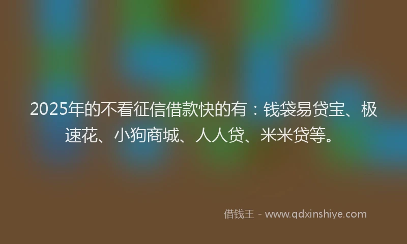 2025年的不看征信借款快的有：钱袋易贷宝、极速花、小狗商城、人人贷、米米贷等。