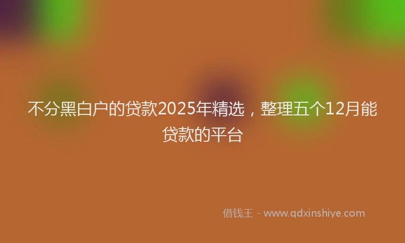 不分黑白户的贷款2025年精选，整理五个12月能贷款的平台