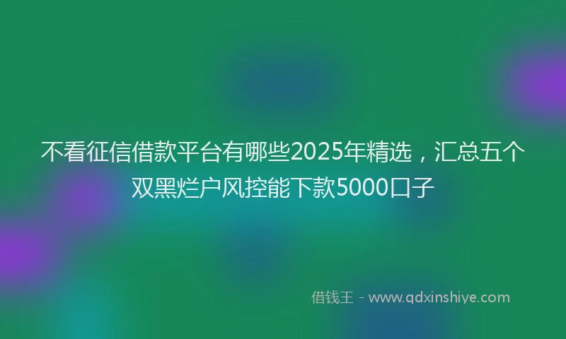 不看征信借款平台有哪些2025年精选，汇总五个双黑烂户风控能下款5000口子