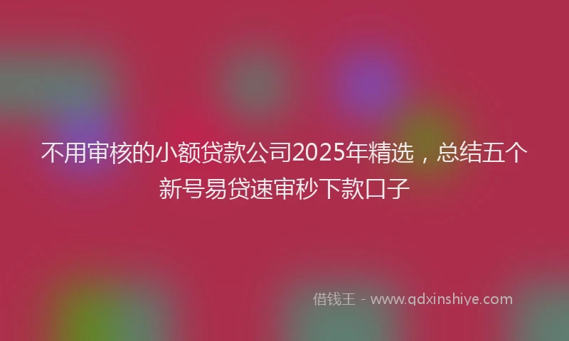 不用审核的小额贷款公司2025年精选，总结五个新号易贷速审秒下款口子