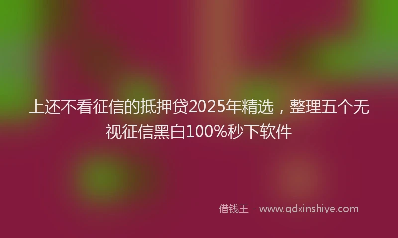 上还不看征信的抵押贷2025年精选，整理五个无视征信黑白100%秒下软件