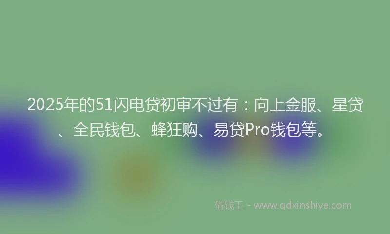 2025年的51闪电贷初审不过有：向上金服、星贷、全民钱包、蜂狂购、易贷Pro钱包等。