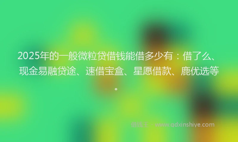 2025年的一般微粒贷借钱能借多少有：借了么、现金易融贷途、速借宝盒、星愿借款、鹿优选等。