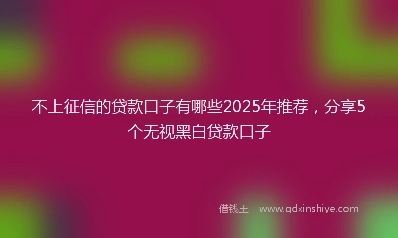 不上征信的贷款口子有哪些2025年推荐，分享5个无视黑白贷款口子