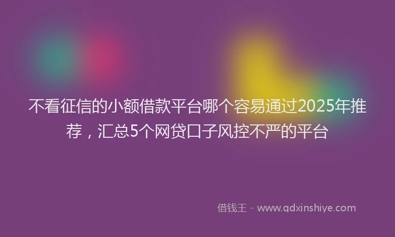 不看征信的小额借款平台哪个容易通过2025年推荐，汇总5个网贷口子风控不严的平台