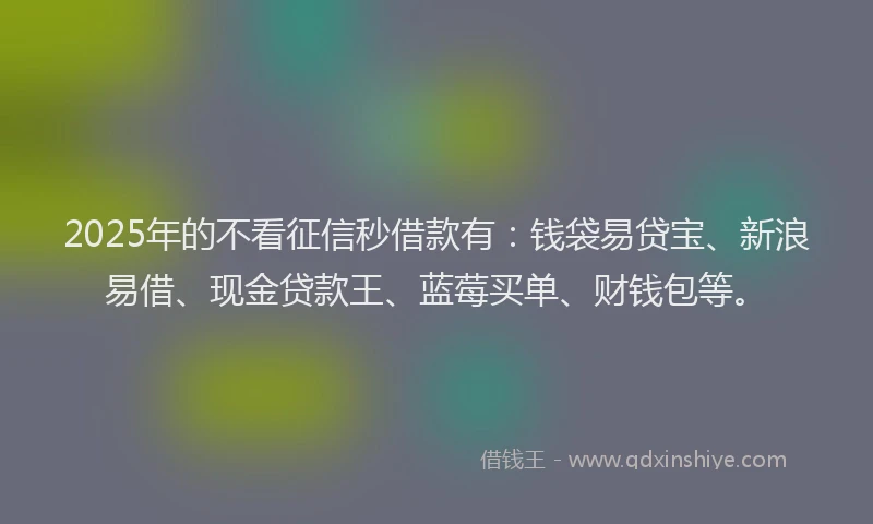 2025年的不看征信秒借款有：钱袋易贷宝、新浪易借、现金贷款王、蓝莓买单、财钱包等。
