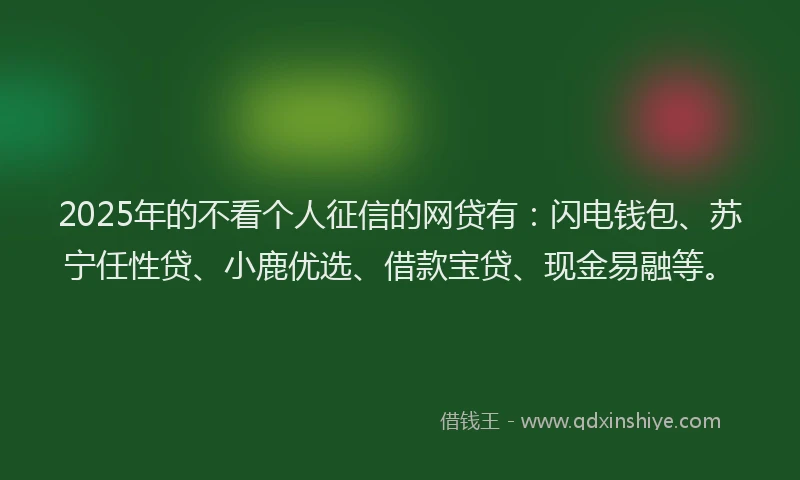 2025年的不看个人征信的网贷有：闪电钱包、苏宁任性贷、小鹿优选、借款宝贷、现金易融等。