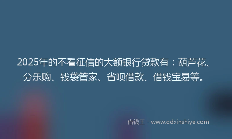 2025年的不看征信的大额银行贷款有：葫芦花、分乐购、钱袋管家、省呗借款、借钱宝易等。