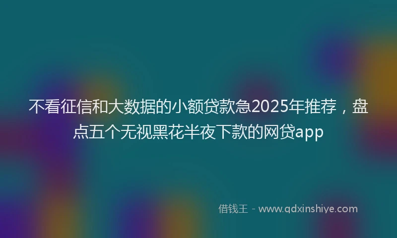 不看征信和大数据的小额贷款急2025年推荐，盘点五个无视黑花半夜下款的网贷app