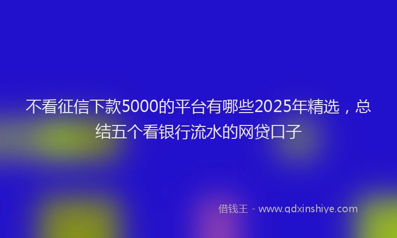 不看征信下款5000的平台有哪些2025年精选，总结五个看银行流水的网贷口子