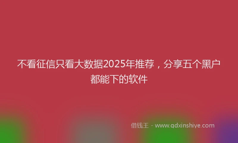 不看征信只看大数据2025年推荐，分享五个黑户都能下的软件