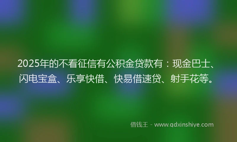 2025年的不看征信有公积金贷款有：现金巴士、闪电宝盒、乐享快借、快易借速贷、射手花等。