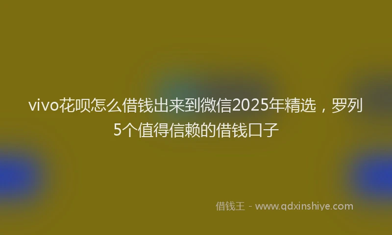 vivo花呗怎么借钱出来到微信2025年精选，罗列5个值得信赖的借钱口子