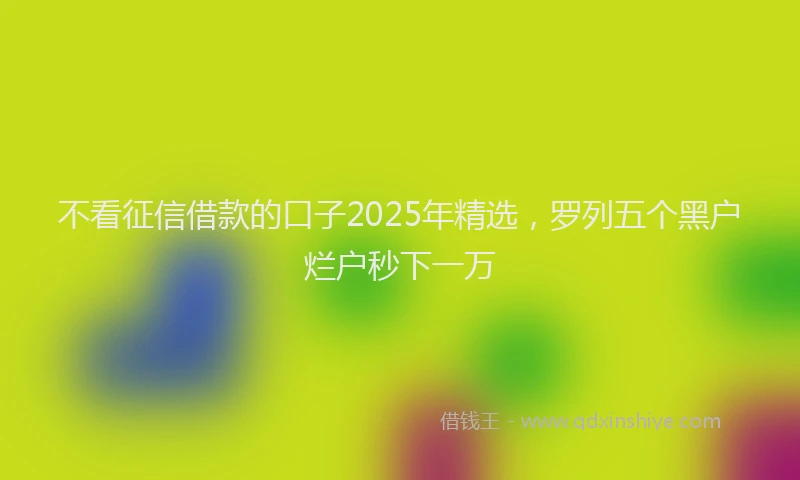 不看征信借款的口子2025年精选，罗列五个黑户烂户秒下一万