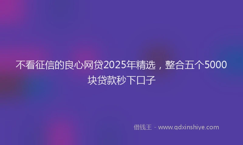 不看征信的良心网贷2025年精选，整合五个5000块贷款秒下口子