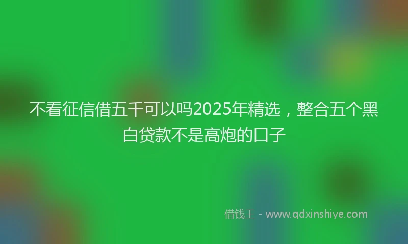 不看征信借五千可以吗2025年精选，整合五个黑白贷款不是高炮的口子