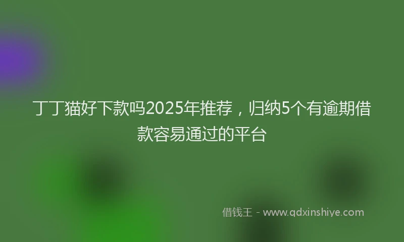 丁丁猫好下款吗2025年推荐，归纳5个有逾期借款容易通过的平台