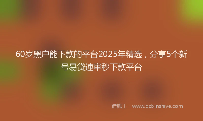 60岁黑户能下款的平台2025年精选，分享5个新号易贷速审秒下款平台