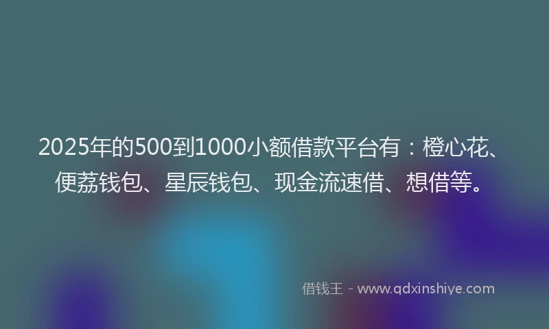 2025年的500到1000小额借款平台有：橙心花、便荔钱包、星辰钱包、现金流速借、想借等。