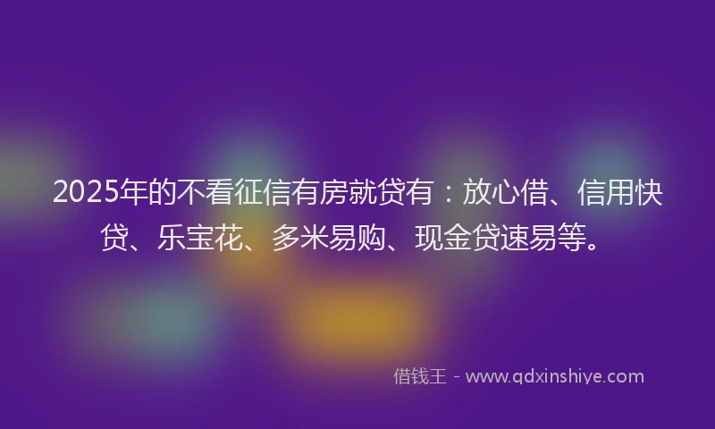 2025年的不看征信有房就贷有：放心借、信用快贷、乐宝花、多米易购、现金贷速易等。