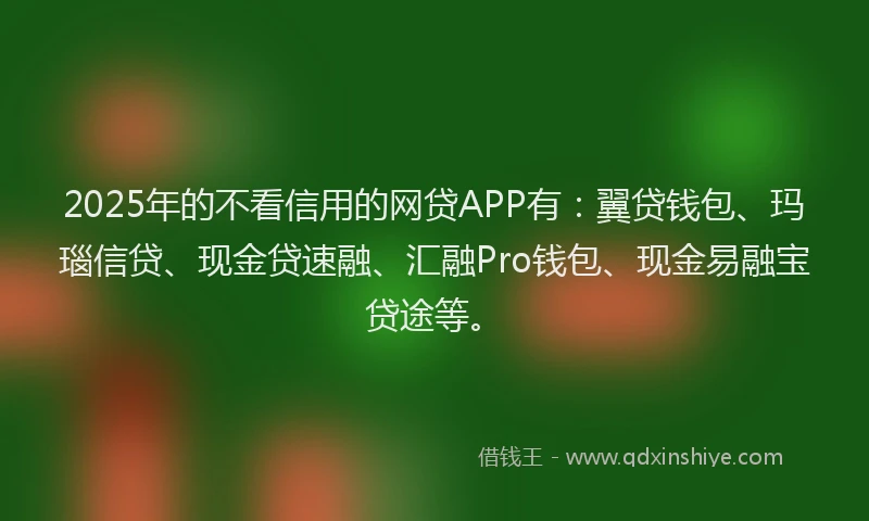 2025年的不看信用的网贷APP有：翼贷钱包、玛瑙信贷、现金贷速融、汇融Pro钱包、现金易融宝贷途等。