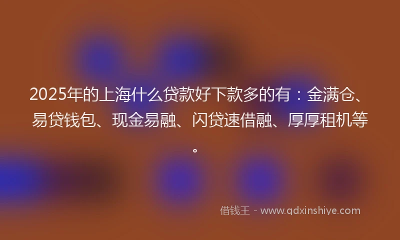 2025年的上海什么贷款好下款多的有：金满仓、易贷钱包、现金易融、闪贷速借融、厚厚租机等。